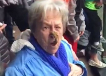 Chipanzés arremessam fezes no rosto de uma visitante em Zoológico