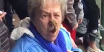 Chipanzés arremessam fezes no rosto de uma visitante em Zoológico