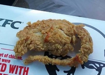 Eca! Homem afirma ter recebido rato frito em lanche do KFC