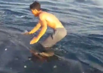 Pescador “surfa” em tubarão e é criticado na internet
