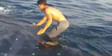 Pescador “surfa” em tubarão e é criticado na internet