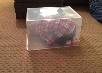 15 Crianças que Provaram ser Gênios do Esconde-Esconde