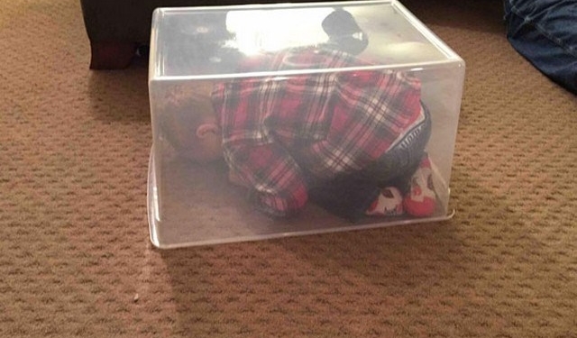 15 Crianças que Provaram ser Gênios do Esconde-Esconde