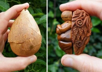 Artista cria esculturas em caroços de abacate
