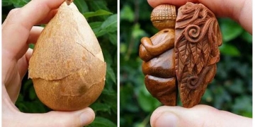 Artista cria esculturas em caroços de abacate
