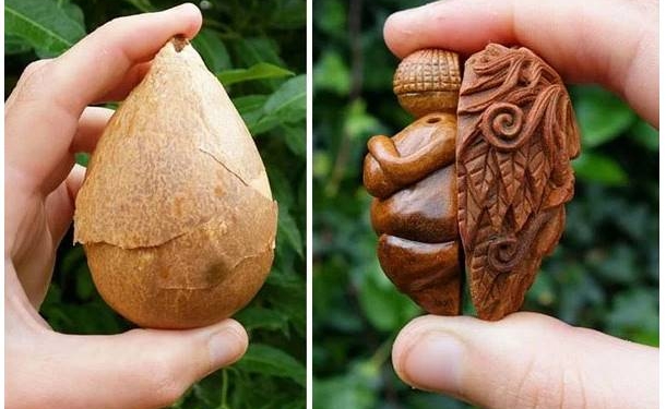 Artista cria esculturas em caroços de abacate