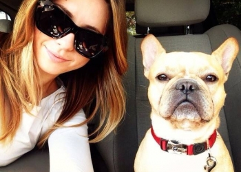 17 tentativas frustradas de selfies com animais