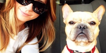 17 tentativas frustradas de selfies com animais