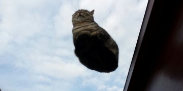 10 histórias hilárias: “Foi pra isso que eu acordei”