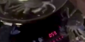 Caranguejo foge da panela para salvar a vida de seus amigos