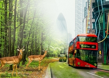 O que aconteceria se os humanos entrassem em extinção?