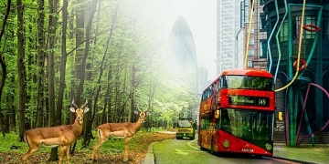 O que aconteceria se os humanos entrassem em extinção?