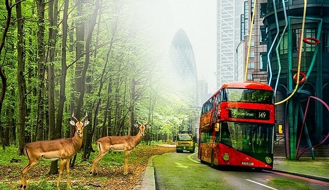 O que aconteceria se os humanos entrassem em extinção?