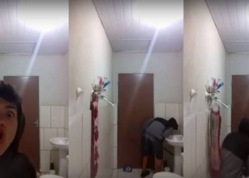 Esse jovem descobriu da pior forma que gatos não matam ratos