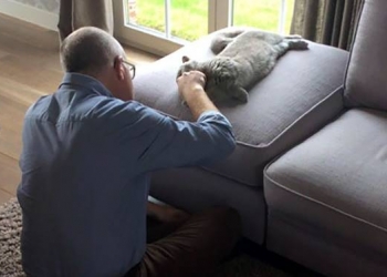 “Eu não quero esse gato aqui”, disseram essas 10 pessoas