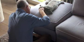 “Eu não quero esse gato aqui”, disseram essas 10 pessoas