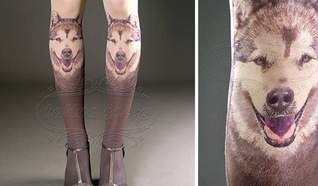 Essas meias são tão incríveis que você vai querer