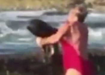 Mulher pega tubarão no colo para devolve-lo ao mar