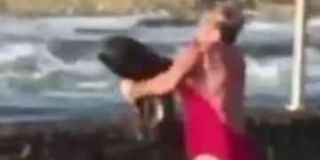 Mulher pega tubarão no colo para devolve-lo ao mar