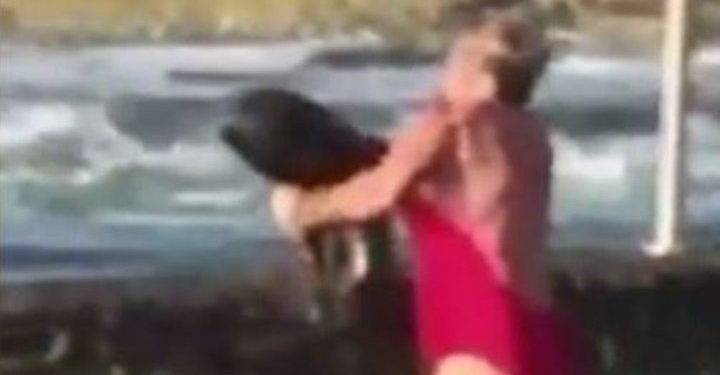 Mulher pega tubarão no colo para devolve-lo ao mar