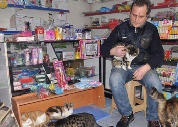 Animais de rua buscam abrigo em shopping contra o frio