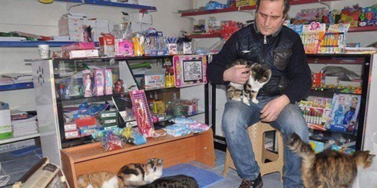 Animais de rua buscam abrigo em shopping contra o frio