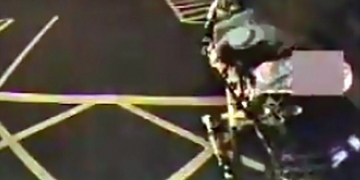 Sexo selvagem: mulher arranca testículo do marido no dente