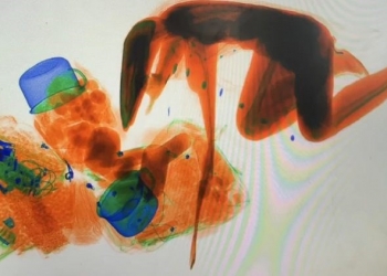 Chinesa entra no raio-x de Estação Ferroviária temendo ser roubada