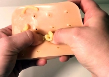 Essa invenção simula espinhas para você espremer