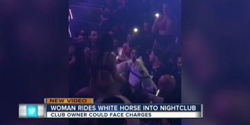 Cavalo em pista de dança chama atenção para casa noturna