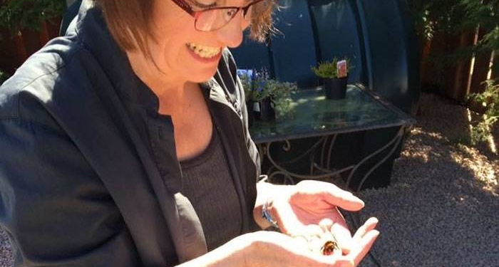 Essa mulher adotou uma abelha deficiente e a história é comovente
