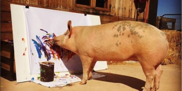 Essa porca é pintora e seus quadros valem até R$ 4 mil