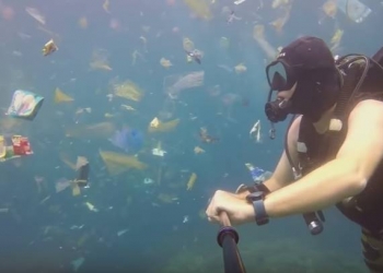 Vídeo mostra realidade assustadora dos mares em Bali