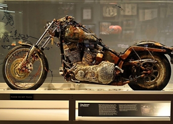 Você não vai acreditar que essas coisas foram achadas na praia