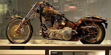 Você não vai acreditar que essas coisas foram achadas na praia