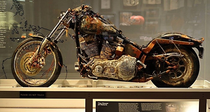 Você não vai acreditar que essas coisas foram achadas na praia