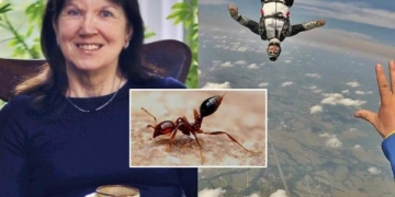 Essa mulher caiu de 4 mil metros e sobreviveu graças a formigas