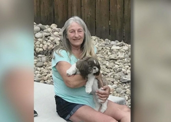 Por que essa mulher morreu depois de ser mordida por um filhote de cachorro?